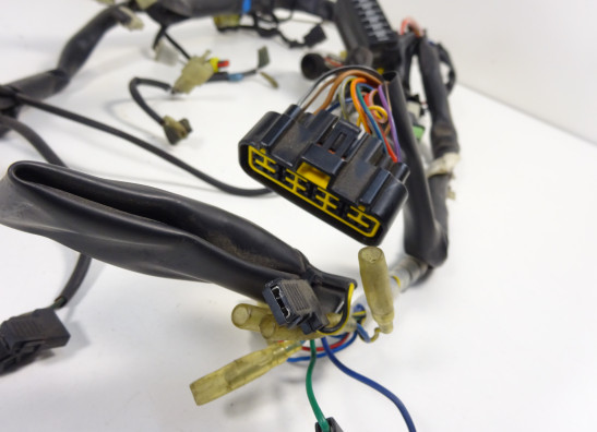 Kabelboom Cagiva Raptor 650