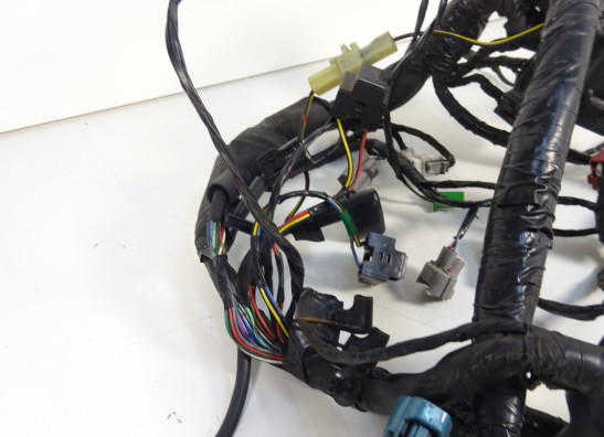 Wire Harness Kawasaki ER 6