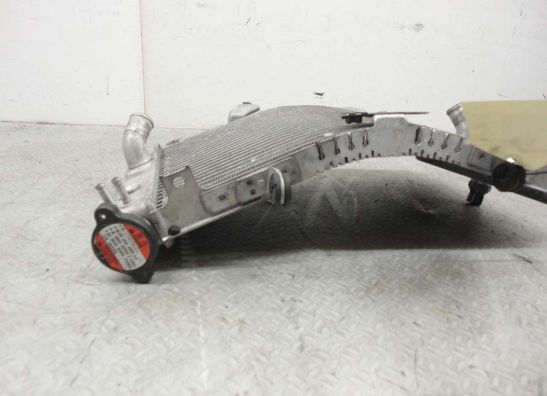 Radiator Suzuki GSX R 1000