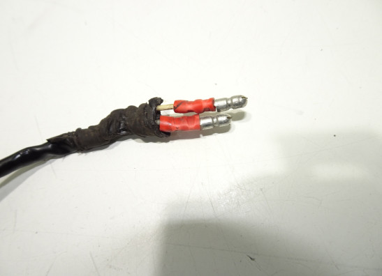 Winker right rear Ducati monster 600