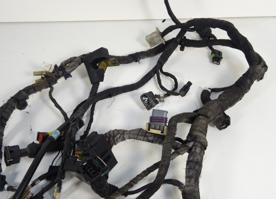 Wire Harness Ducati monster 696
