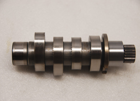 Nokkenas Harley Davidson Softtail