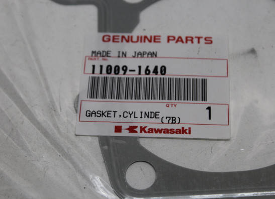 Gasket Kawasaki KLE 500