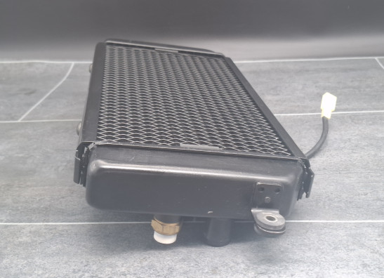 Radiator Suzuki VZ 800 marauder