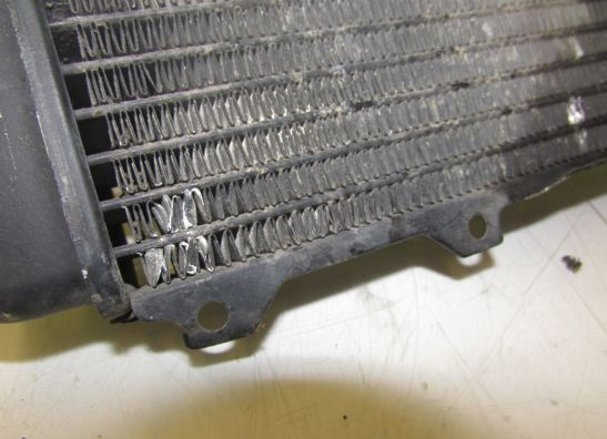 Radiateur Suzuki GSF 600 650 Bandit 