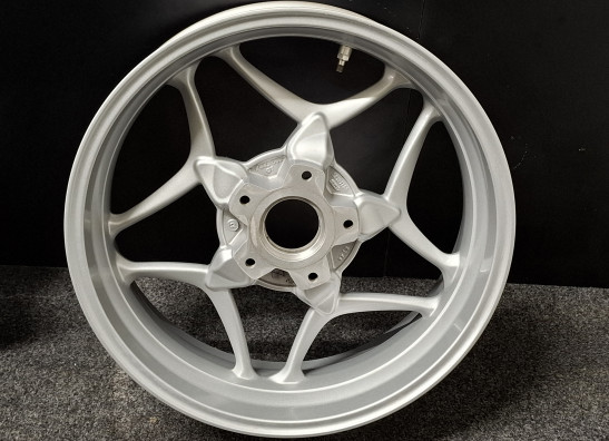 Achtervelg BMW R 1200 R 2011