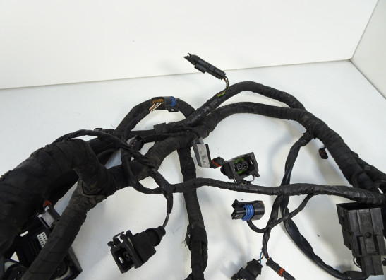 Kabelboom BMW K 1200 S 
