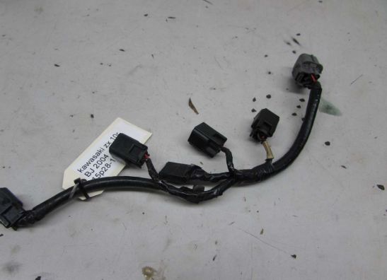 Kabelboom voor Kawasaki ZX 10 R