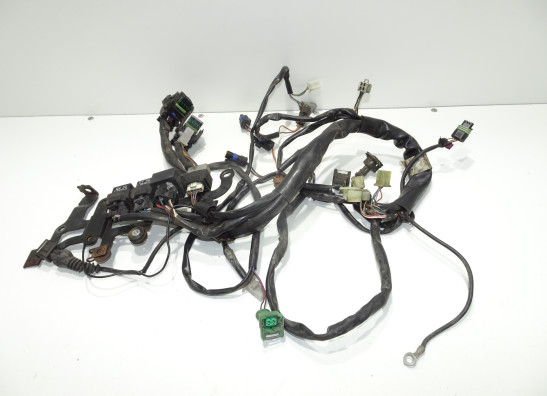 Wire Harness Aprilia RST 1000 Futura