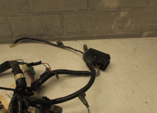 Wire Harness Kawasaki ER 5