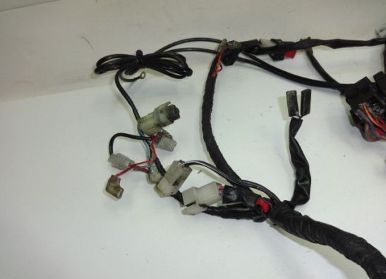 Kabelbaum Yamaha FJR 1300