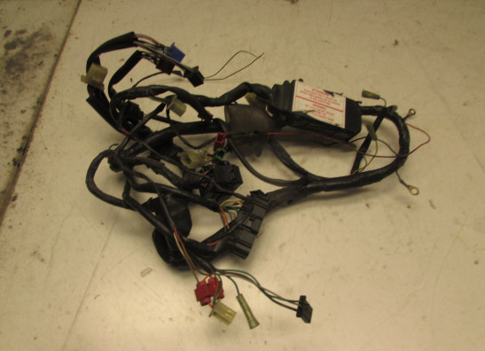 Wire Harness Honda CB 600 F