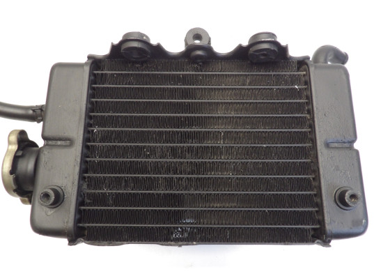 Kuhler Honda TRANSALP