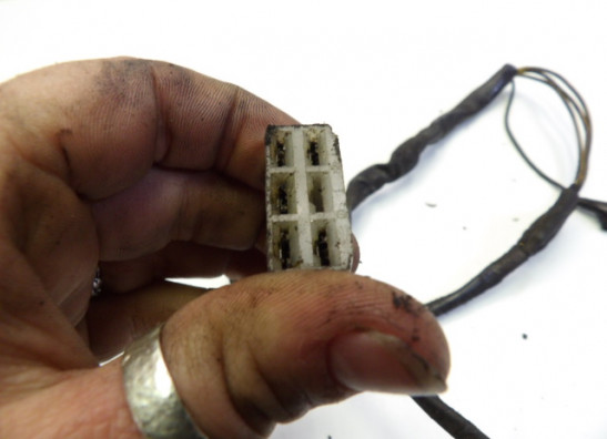 Dynamo Kawasaki Z 750