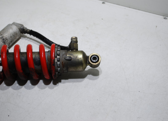 Rear cushion Triumph 595 T Daytona