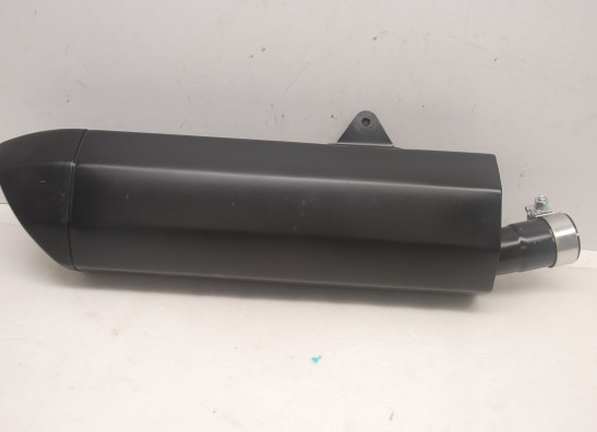 Auspuff Harley Davidson Pan America