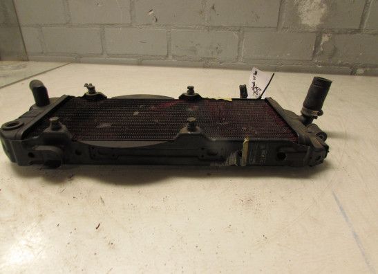 Kuhler Honda VT 700 750