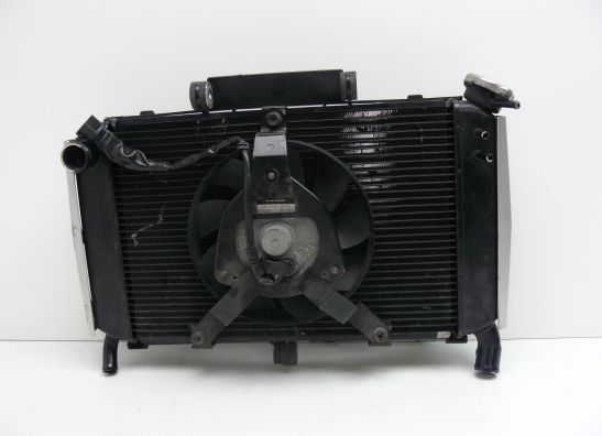 Radiator Yamaha FAZER 600