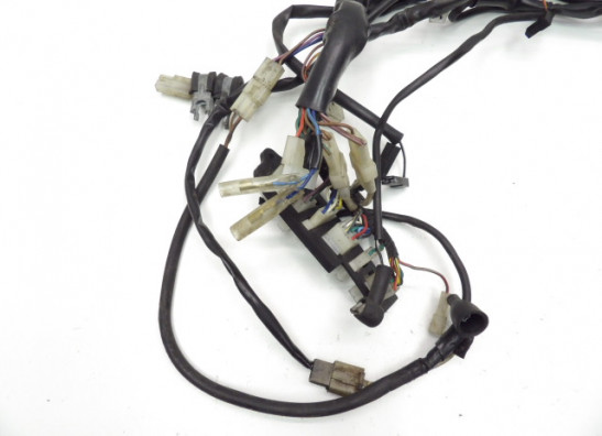 Kabelbaum Aprilia Pegaso