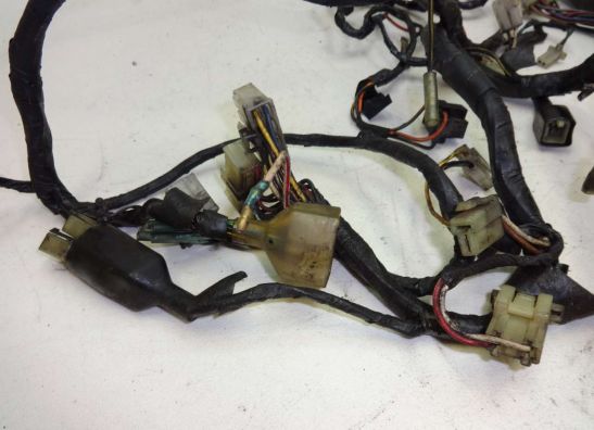 Kabelbaum Kawasaki GTR 1000