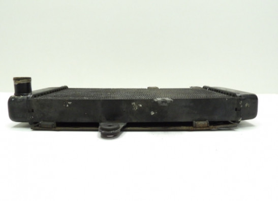 Kuhler Yamaha XTZ Tenere