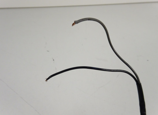 Topkuipsteun Ducati monster 600