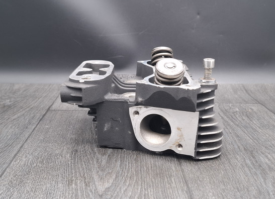 Cylinder head Harley Davidson FLSTF Fat Boy Lo
