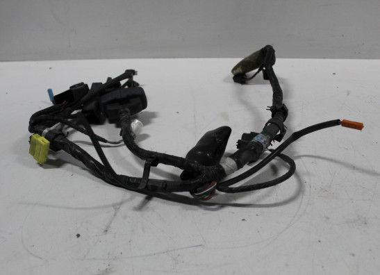 Kabelboom voor Honda ST 1300 Pan European