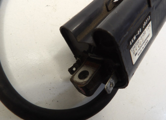 Bobine Yamaha XJ 900 S Diversion