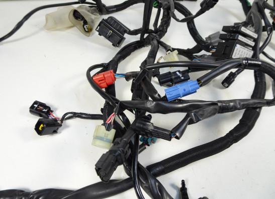 Kabelboom Kawasaki Ninja 650