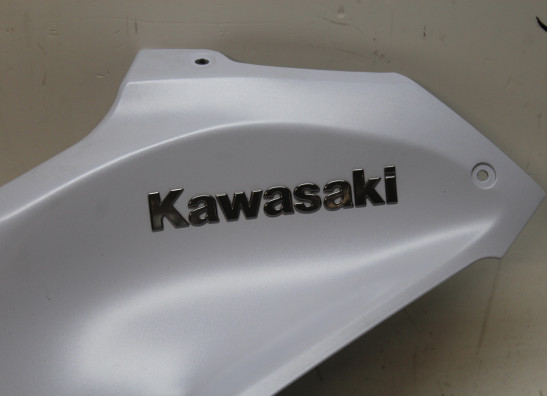 Tankcover Kawasaki Z 900