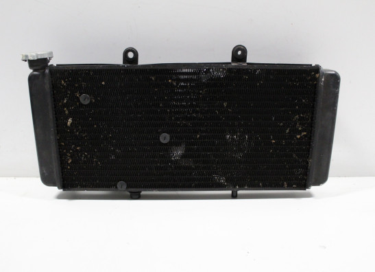 Radiator Aprilia Caponord 1000