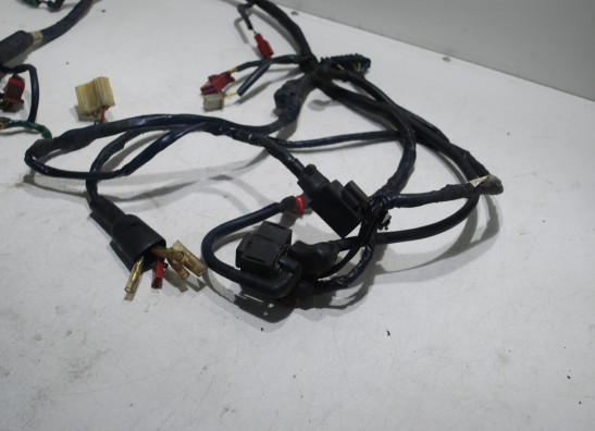 Wire Harness Honda CBR 1000 F