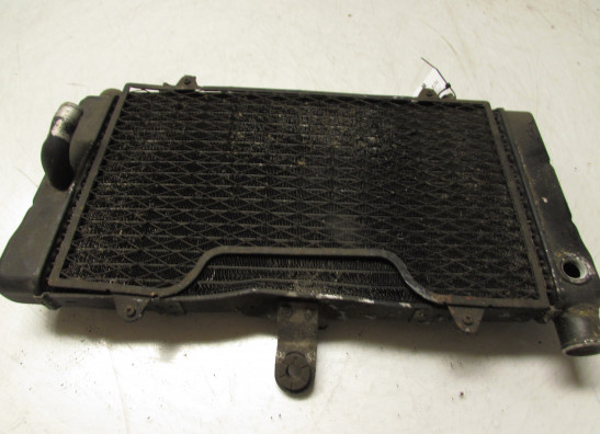 Radiator Honda CBR 1000 F