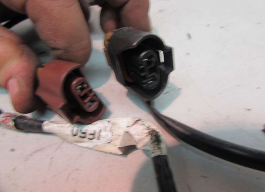 Wire harness front Suzuki GSF 600 650 Bandit 