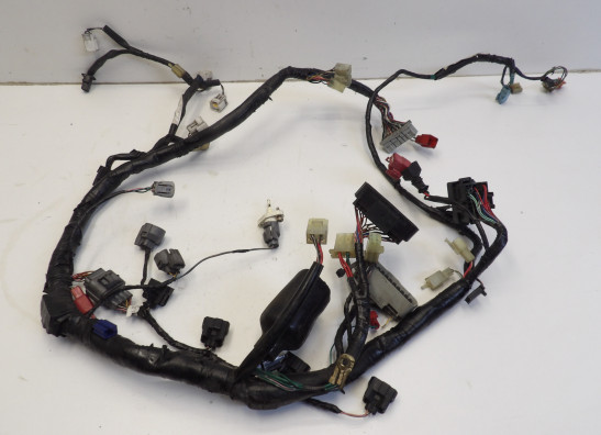 Wire Harness Honda CBR Fireblade