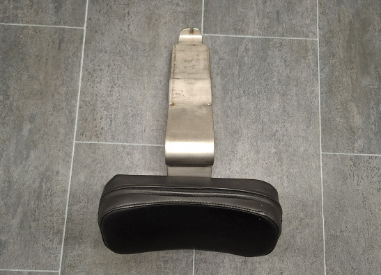 Sissybar seat Harley Davidson Overige Harley Davidson