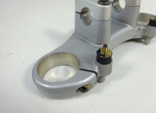 Kroonplaat Ducati monster 600