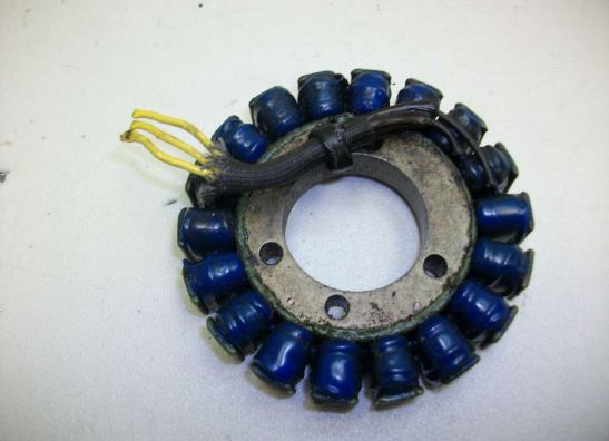 Dynamo Kawasaki ZZR 600