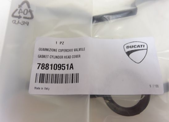Kleppendeksel Ducati Monster S4R