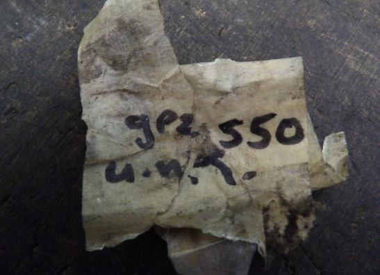 Brake pedal Kawasaki GPZ 550