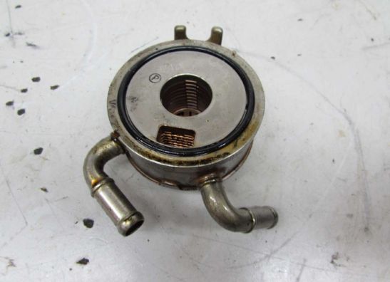 Motorblock Sonstiges Triumph Daytona 675 