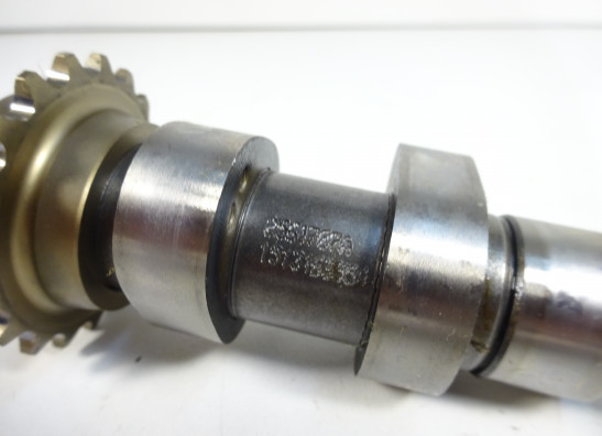 Nokkenas Harley Davidson Softtail