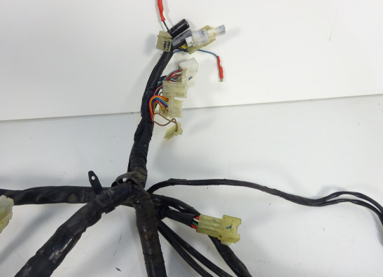 Wire Harness Yamaha FZ6