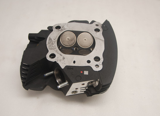 Cylinder head Harley Davidson Softtail