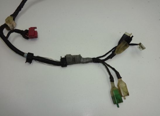 Kabelboom Honda PC 800