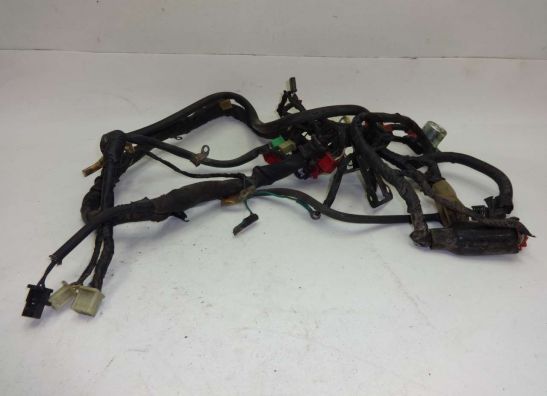 Wire Harness Honda VF 700  750 F