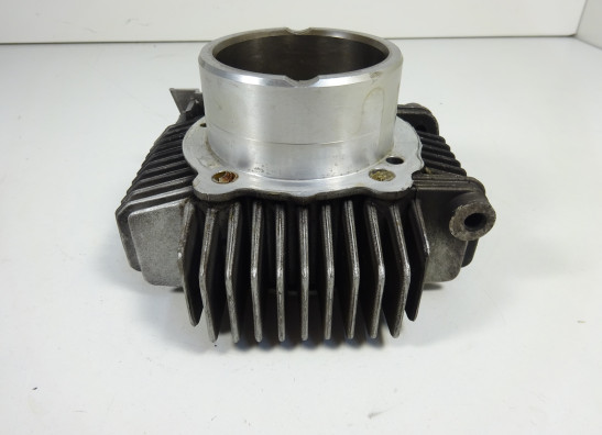 Cylinders Ducati monster 600