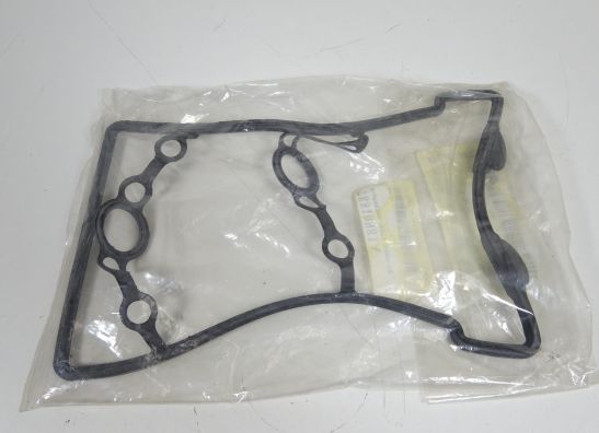 Kleppendeksel Ducati Desmosedici 