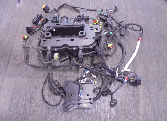 Kabelboom Ducati 959 Panigale 2016-2019